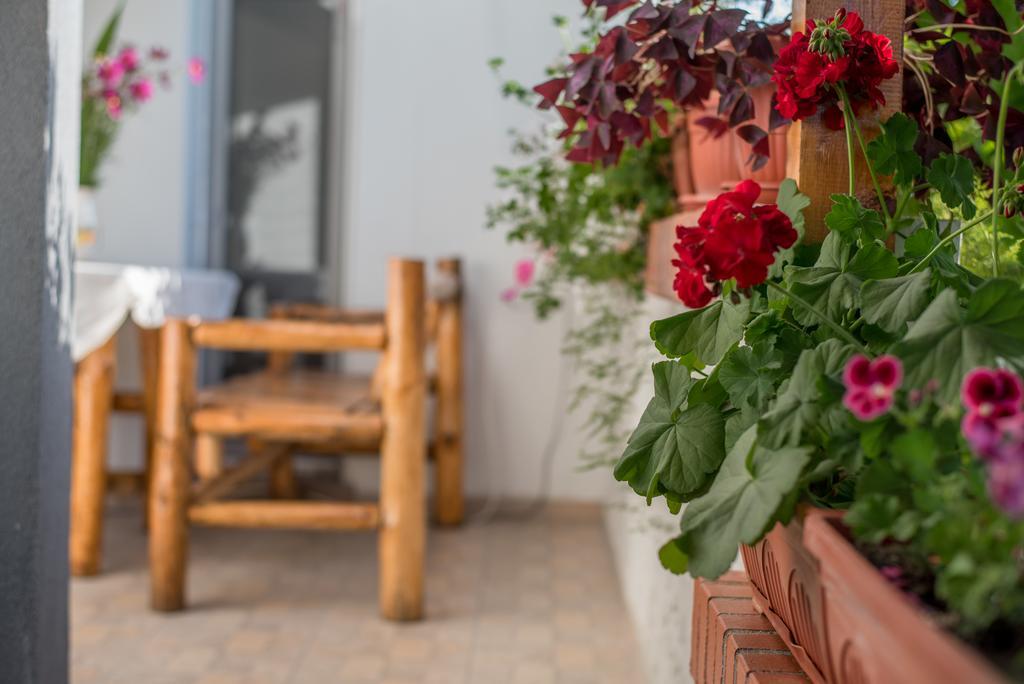 Guesthouse Juli Sapareva Banya Luaran gambar